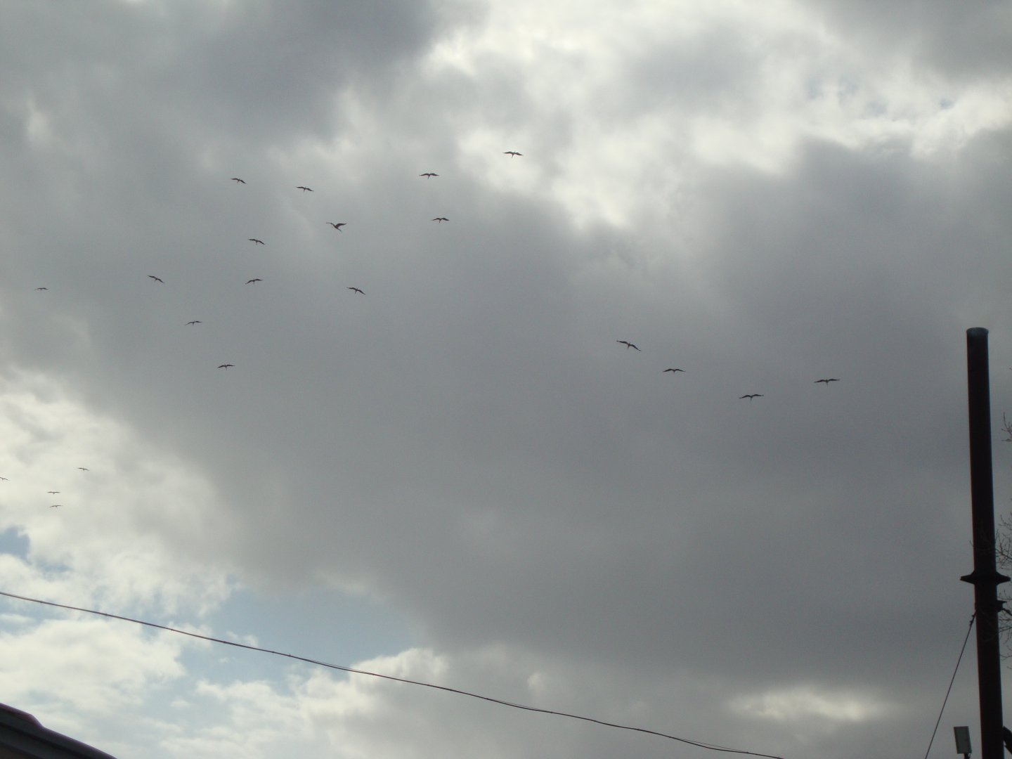 DSC08760.JPG