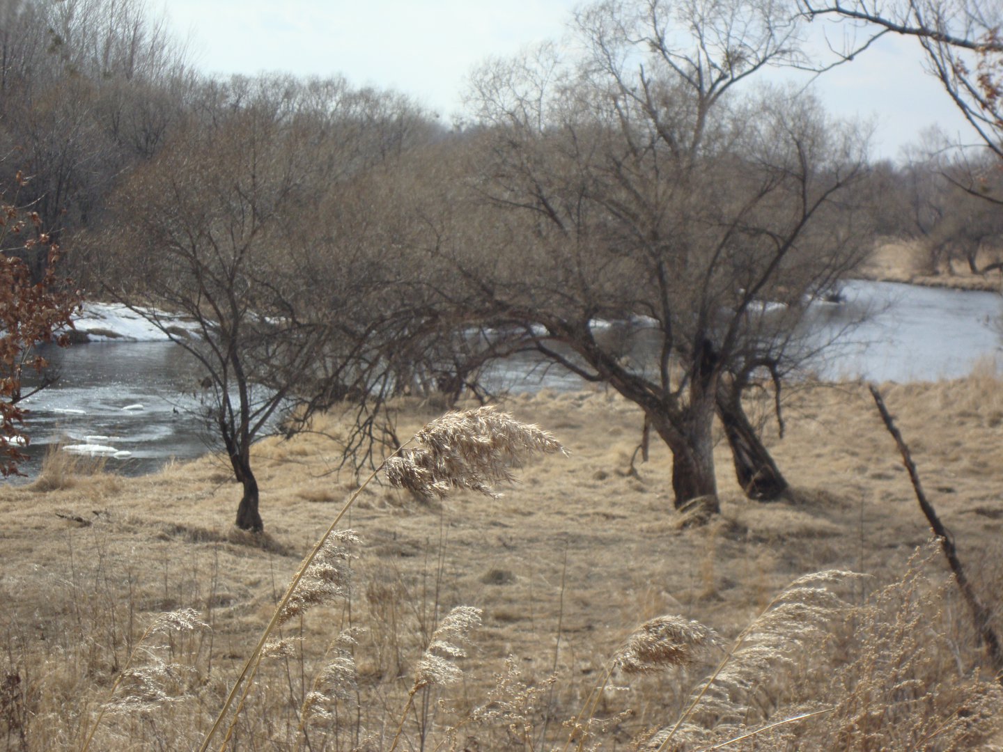 DSC08762.JPG