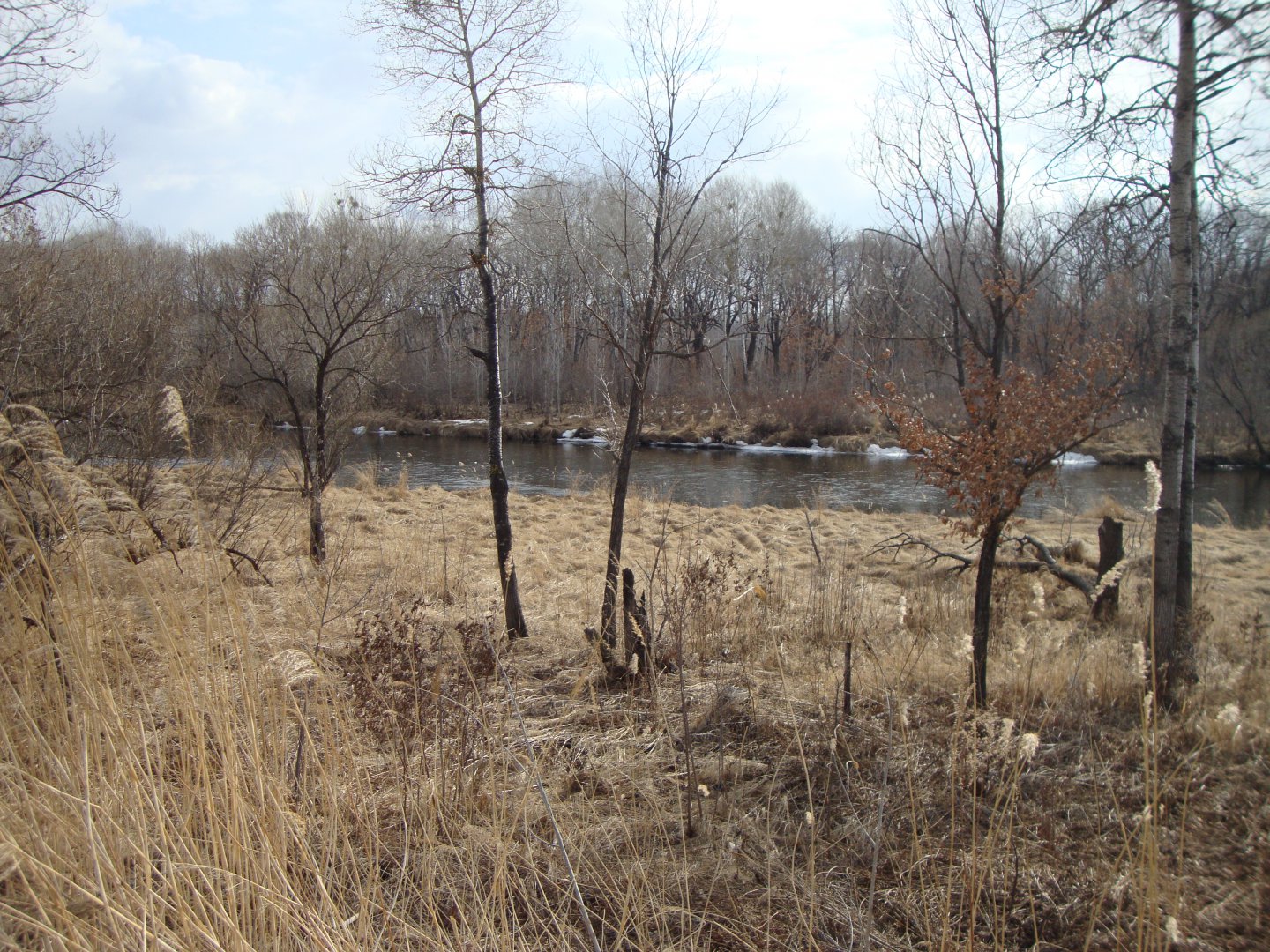 DSC08764.JPG