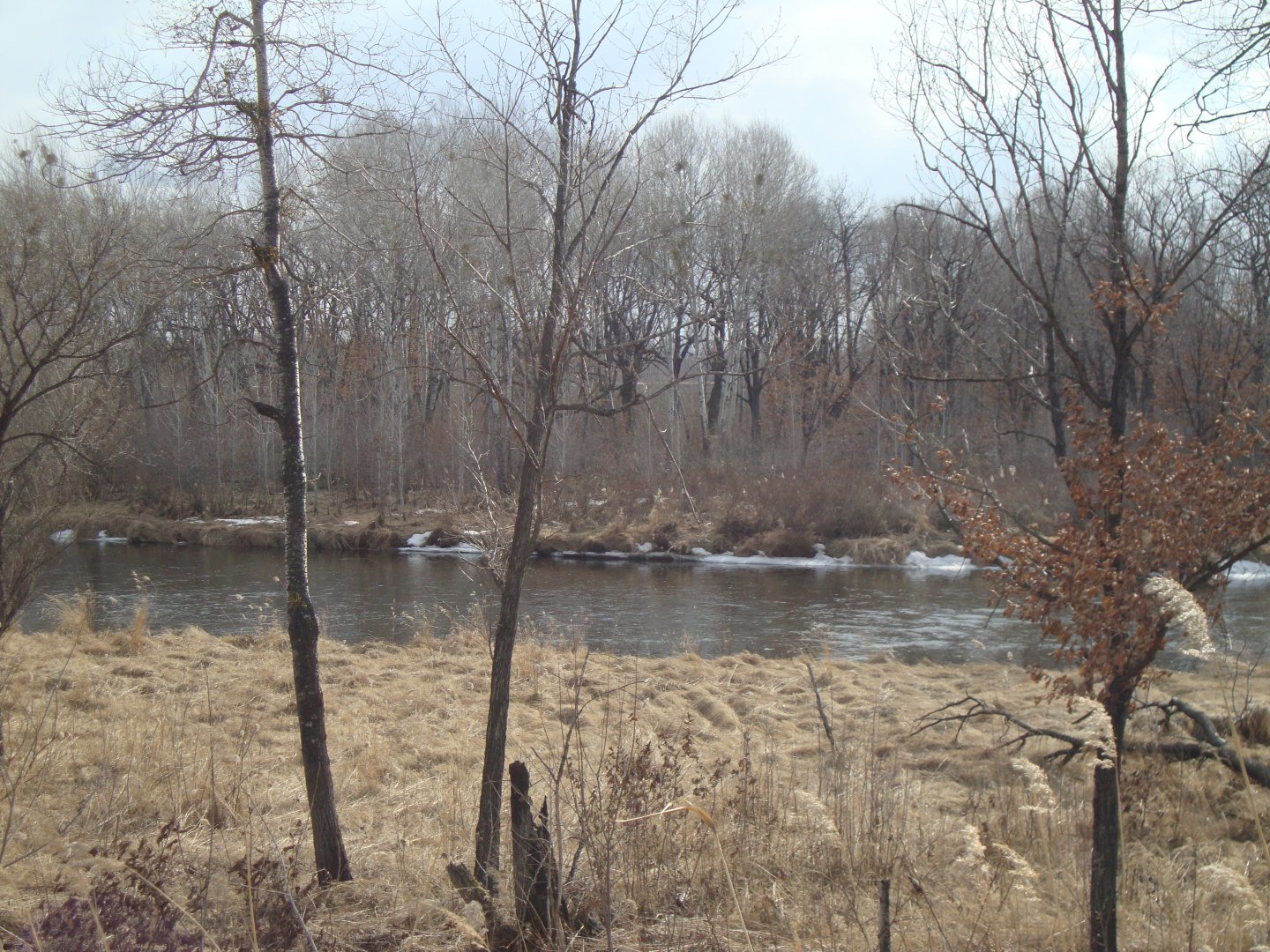 DSC08765.JPG