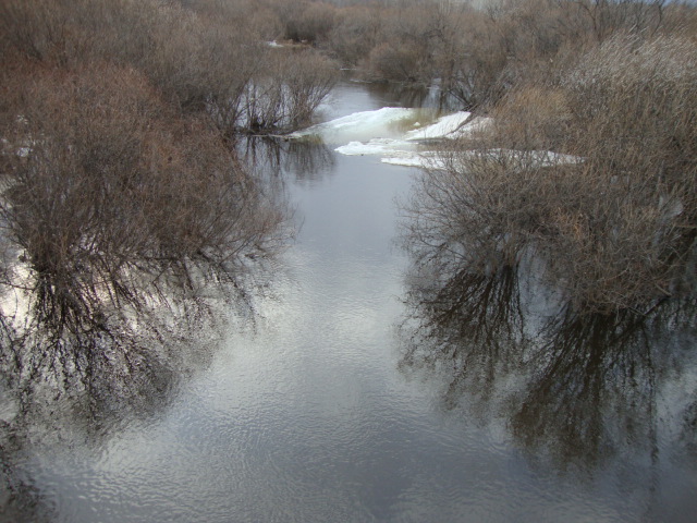 DSC08770.JPG