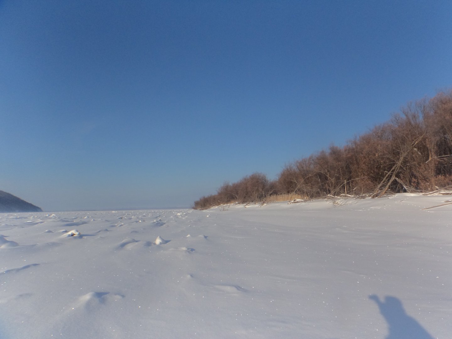 DSC08793.JPG