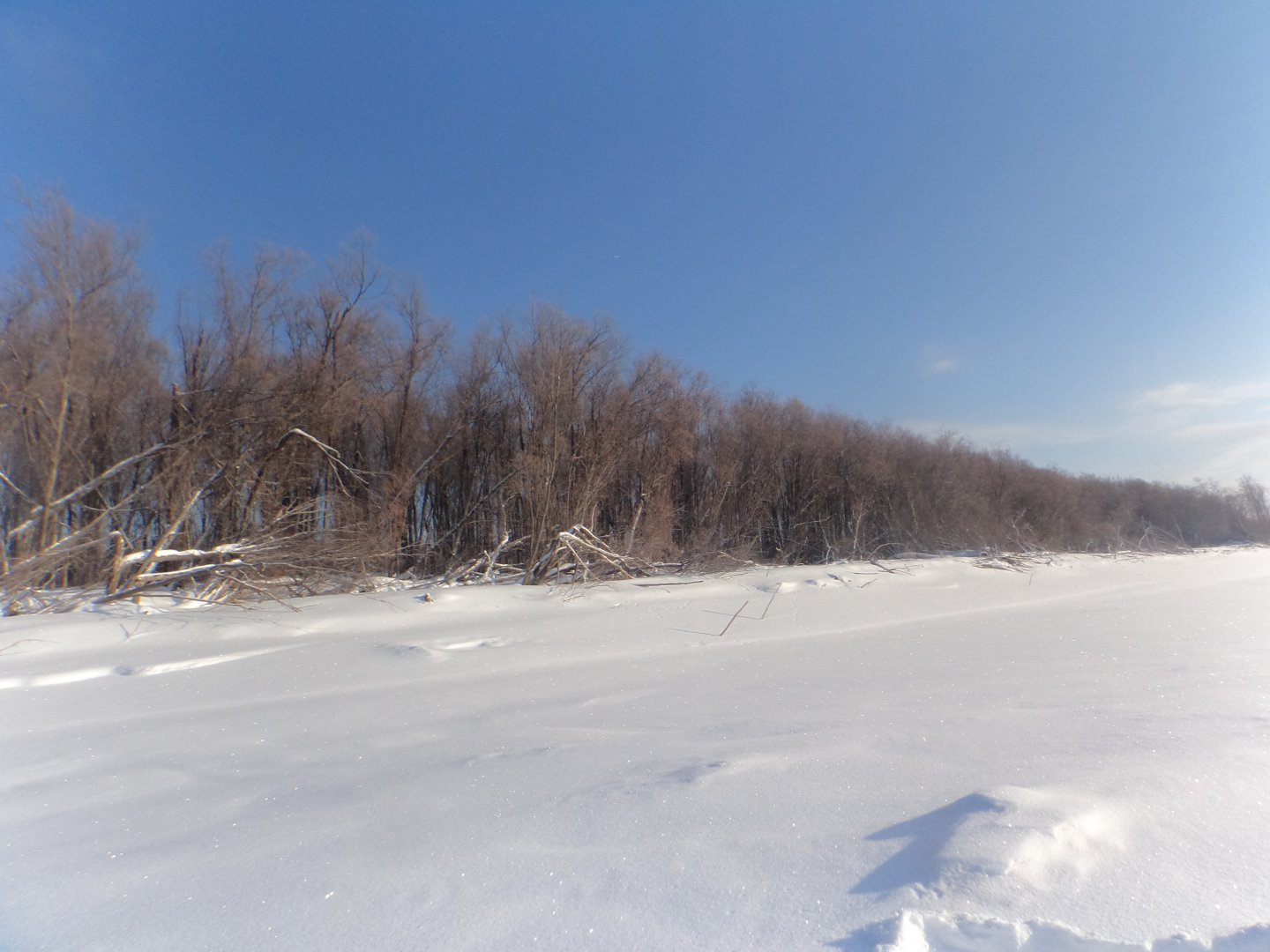 DSC08794.JPG