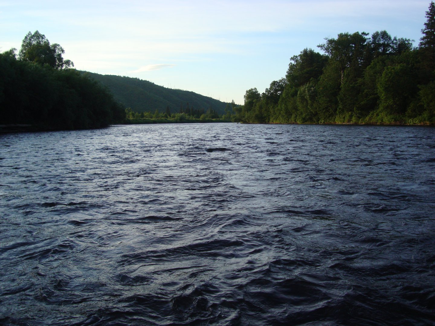 DSC08825.JPG