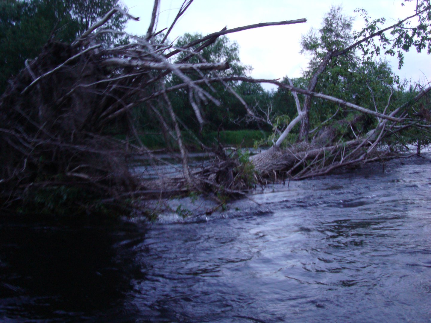 DSC08837.JPG