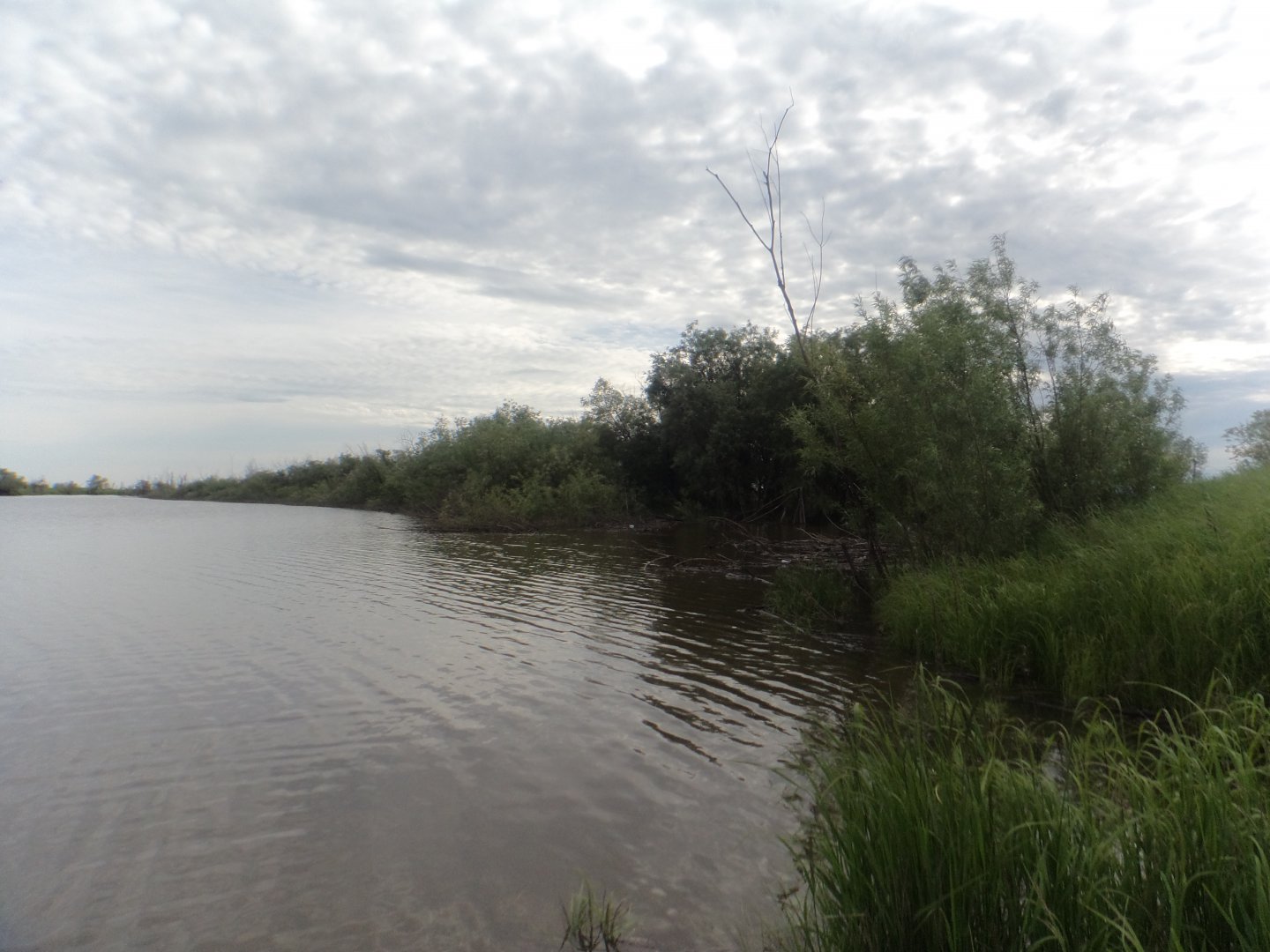 DSC08861.JPG