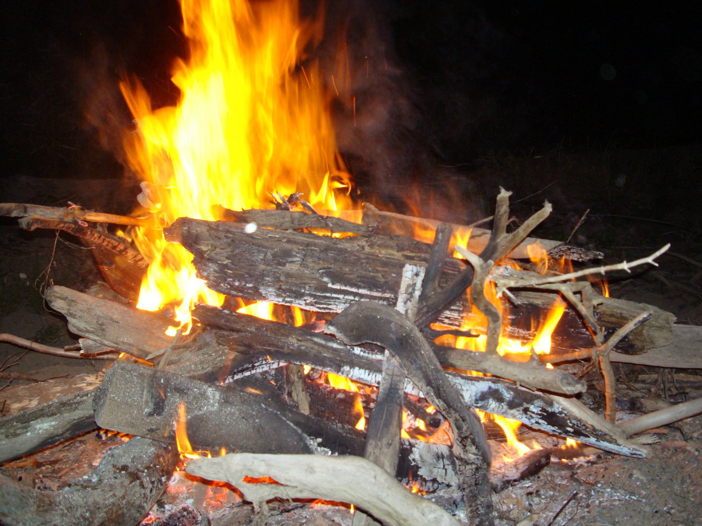 DSC08862.JPG