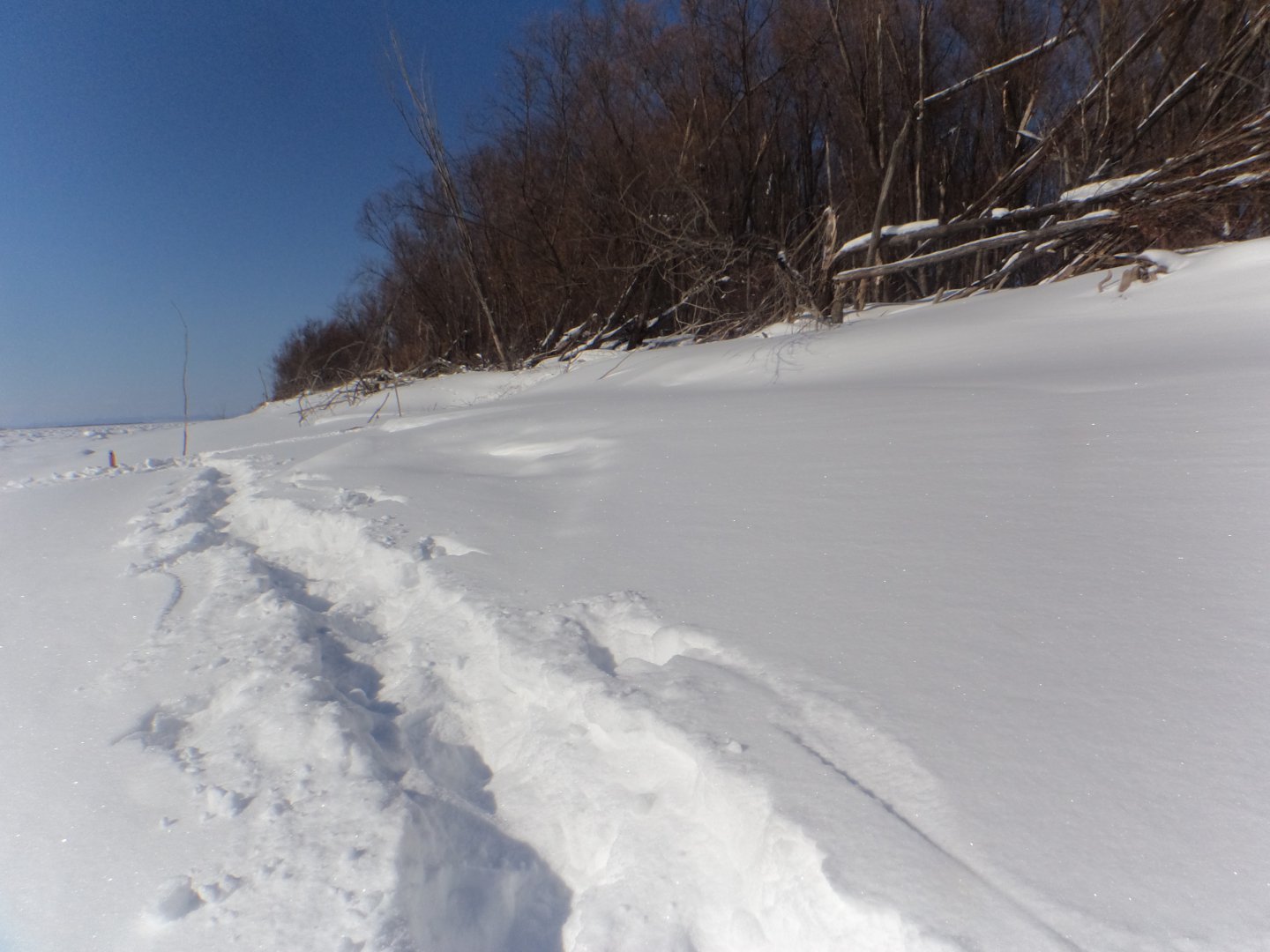 DSC08867.JPG