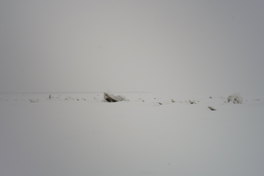 DSC08869.jpg