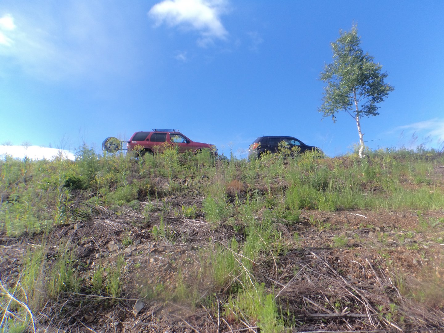 DSC08873.JPG