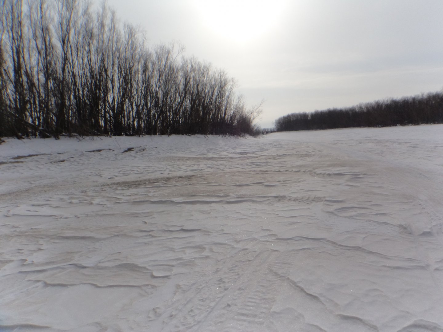 DSC08881.JPG