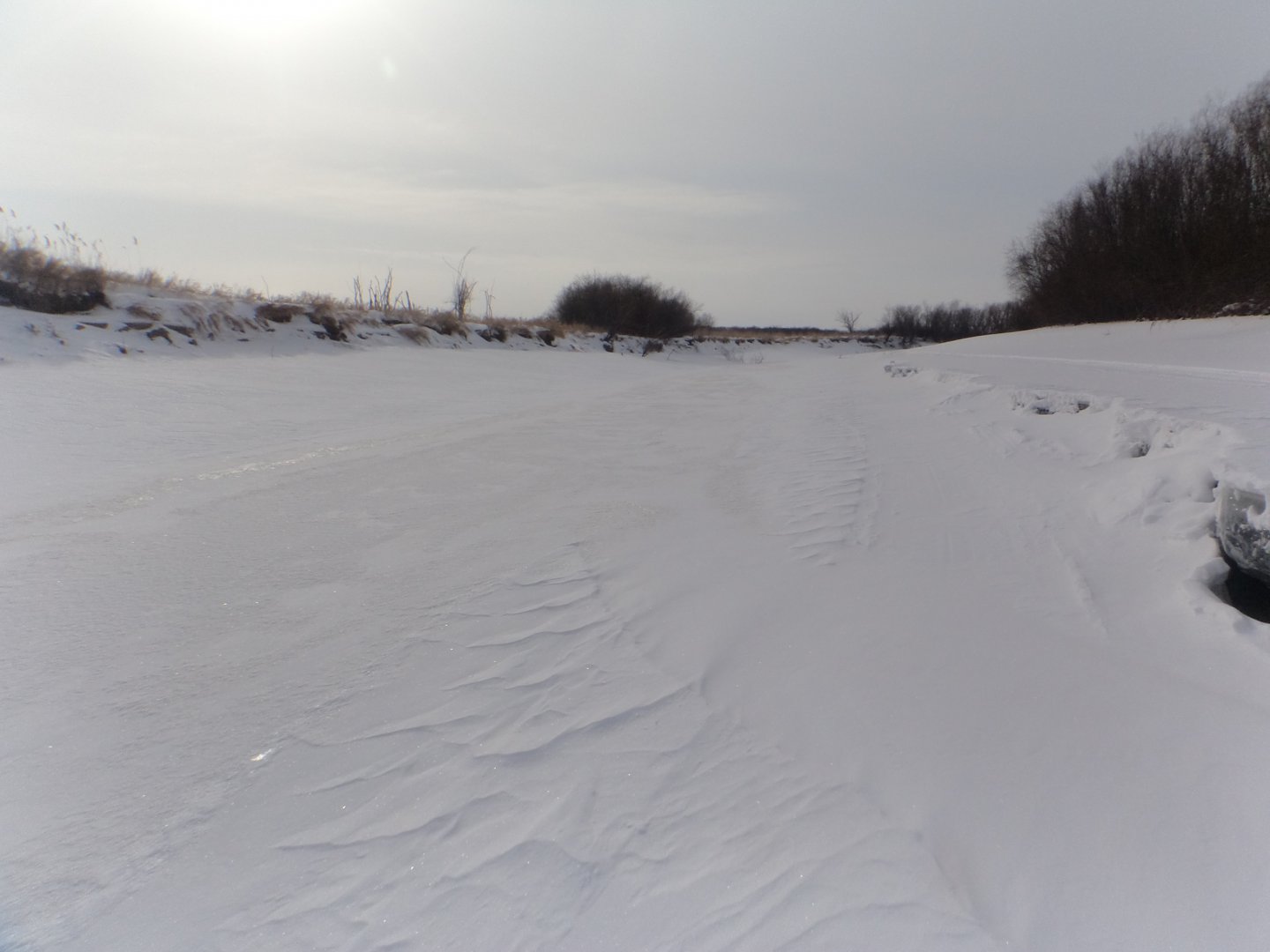 DSC08885.JPG