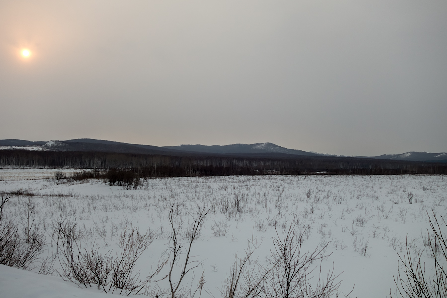 DSC08885.jpg