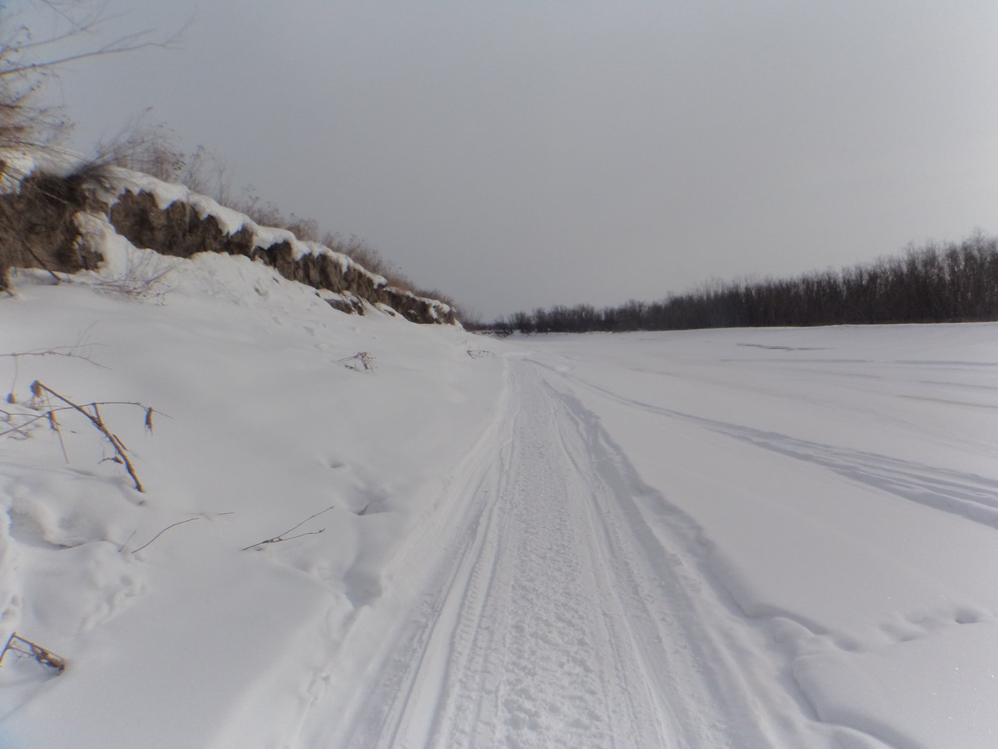 DSC08889.JPG