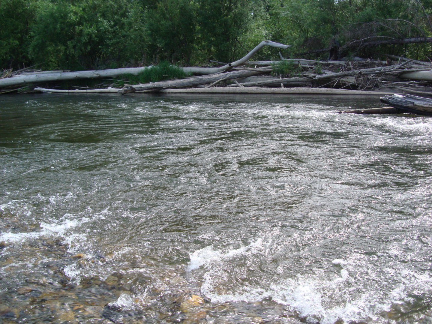 DSC08890.JPG