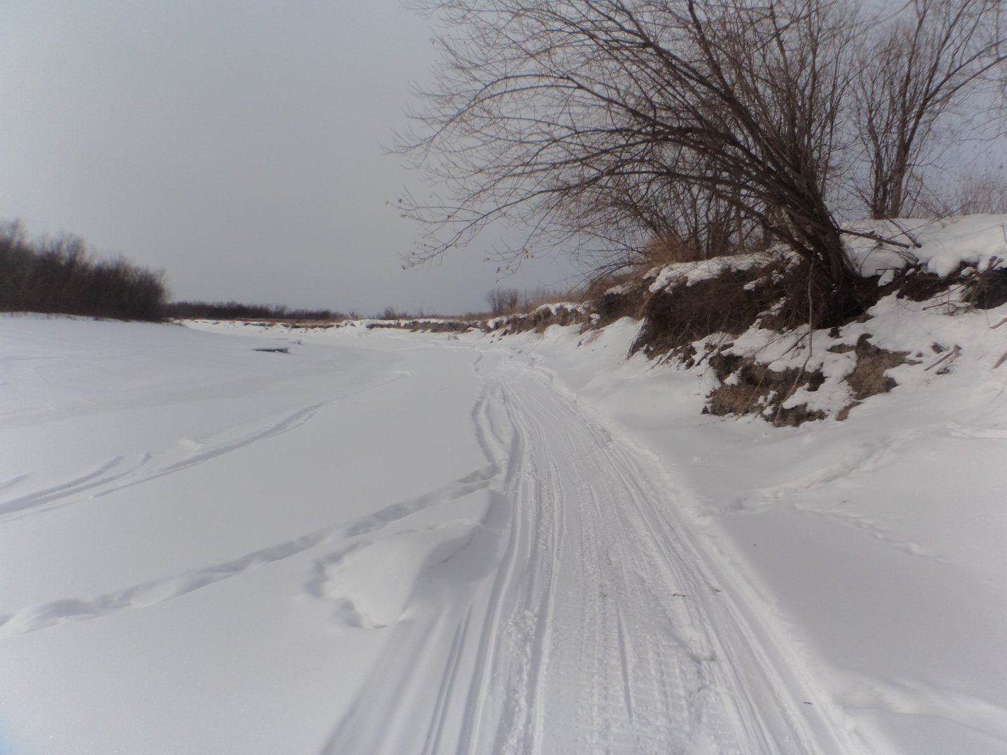 DSC08890.JPG