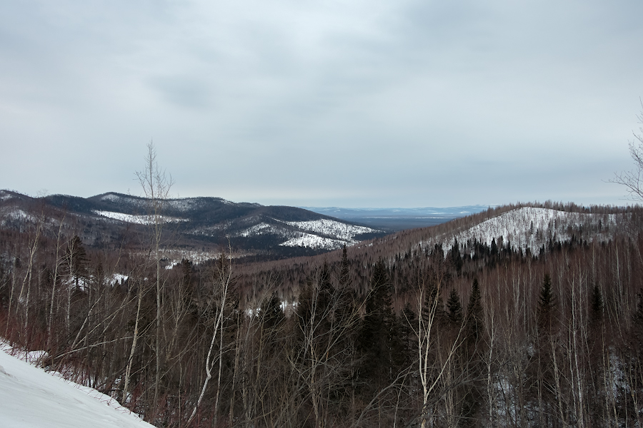 DSC08891.jpg