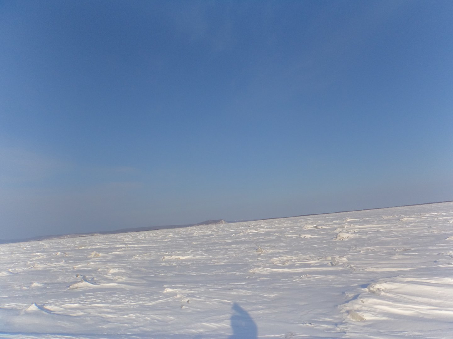 DSC08903.JPG