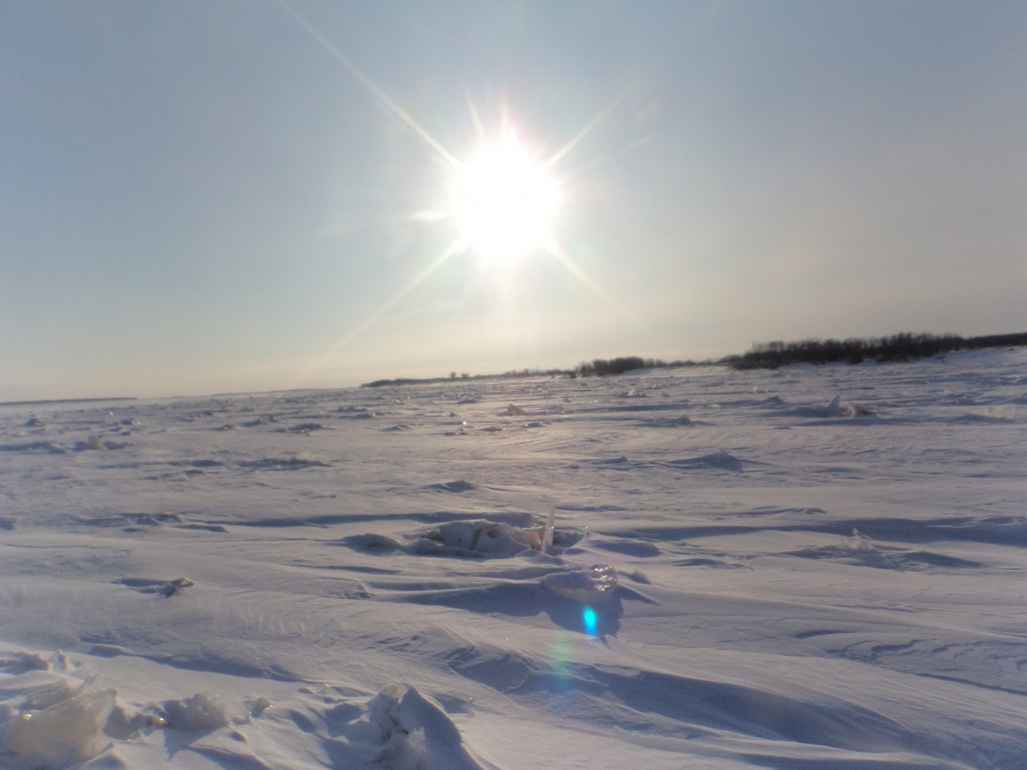 DSC08904.JPG