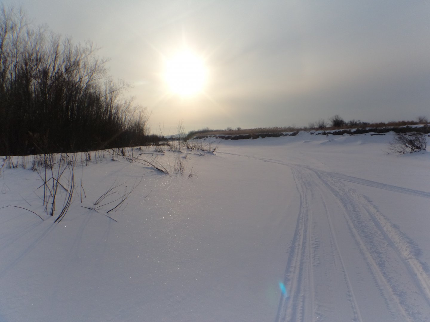 DSC08905.JPG