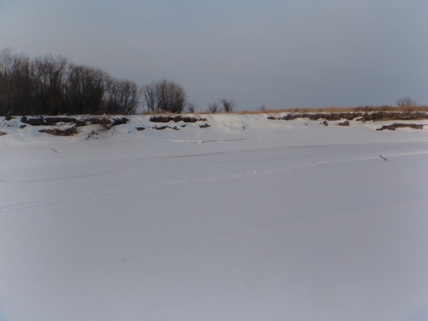 DSC08906.JPG