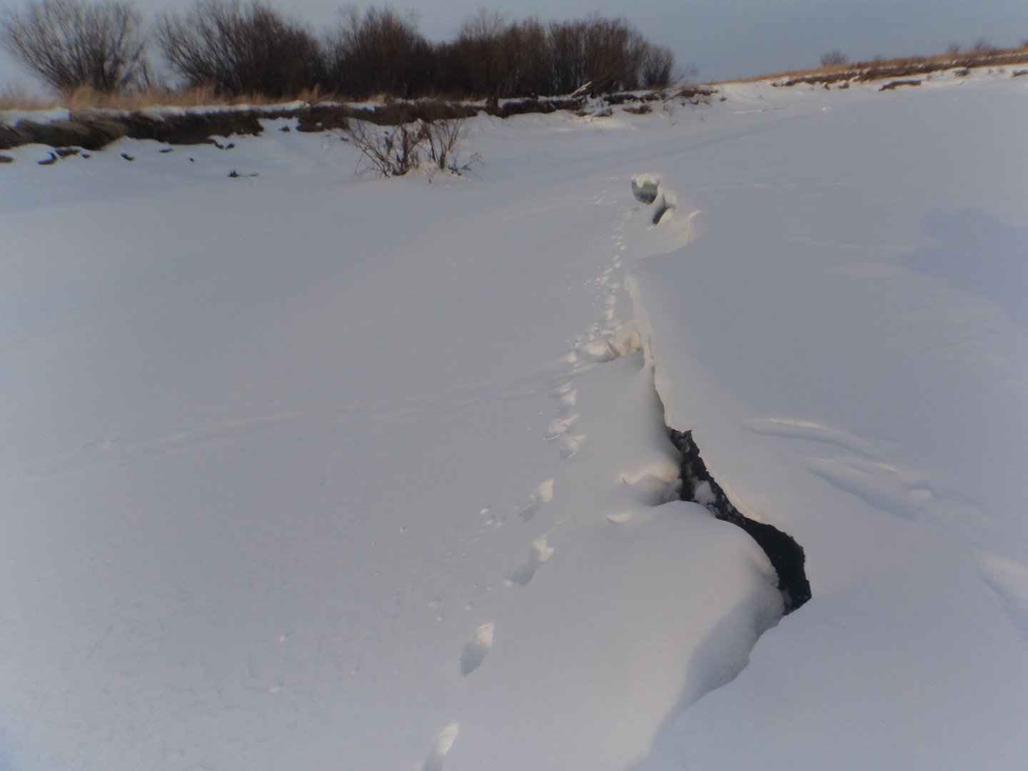 DSC08910.JPG