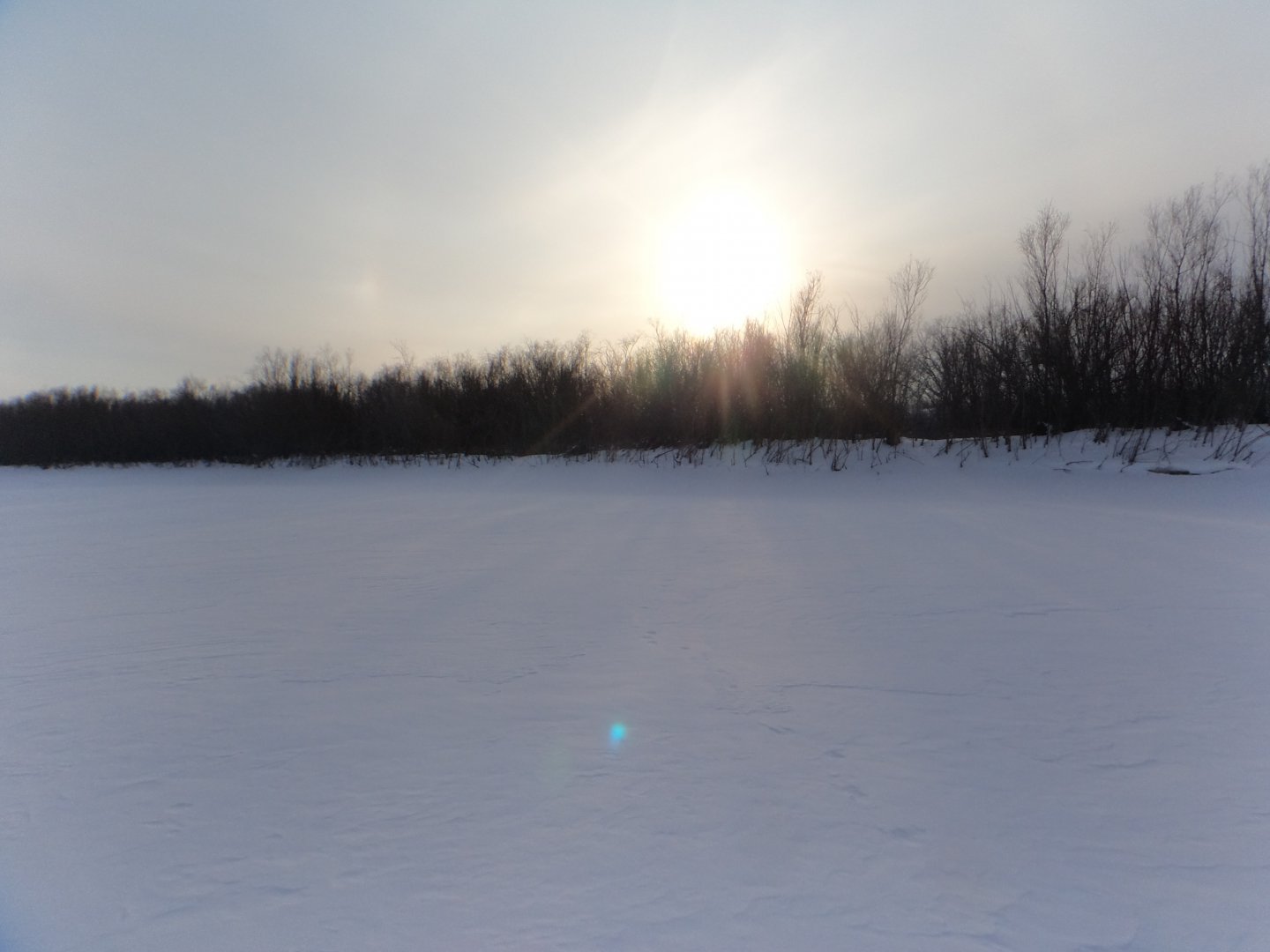 DSC08916.JPG