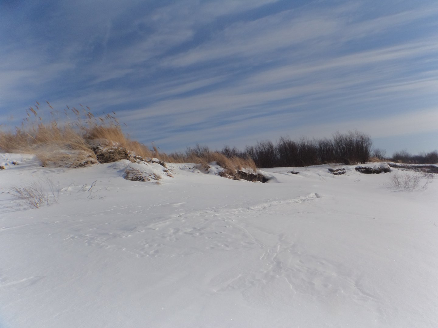 DSC08928.JPG