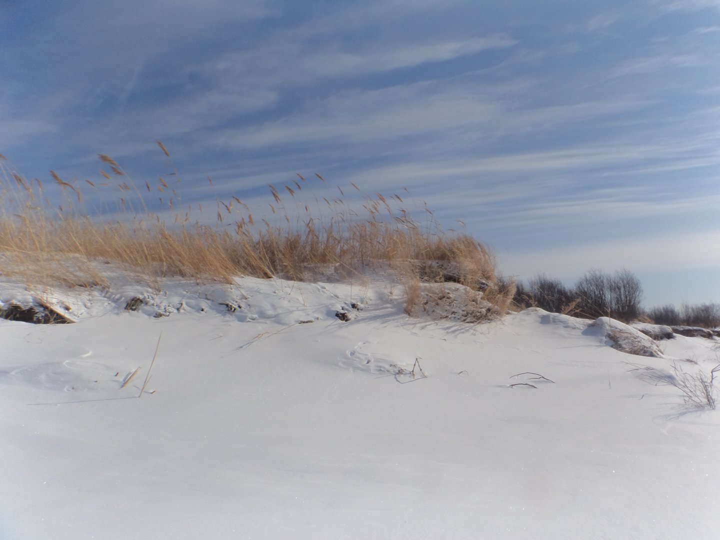 DSC08930.JPG
