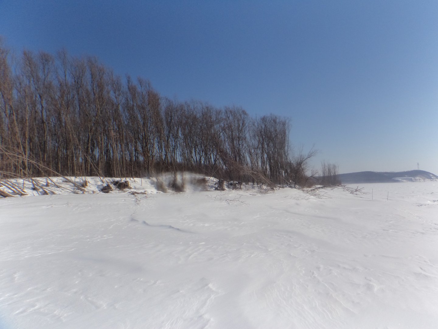 DSC08938.JPG