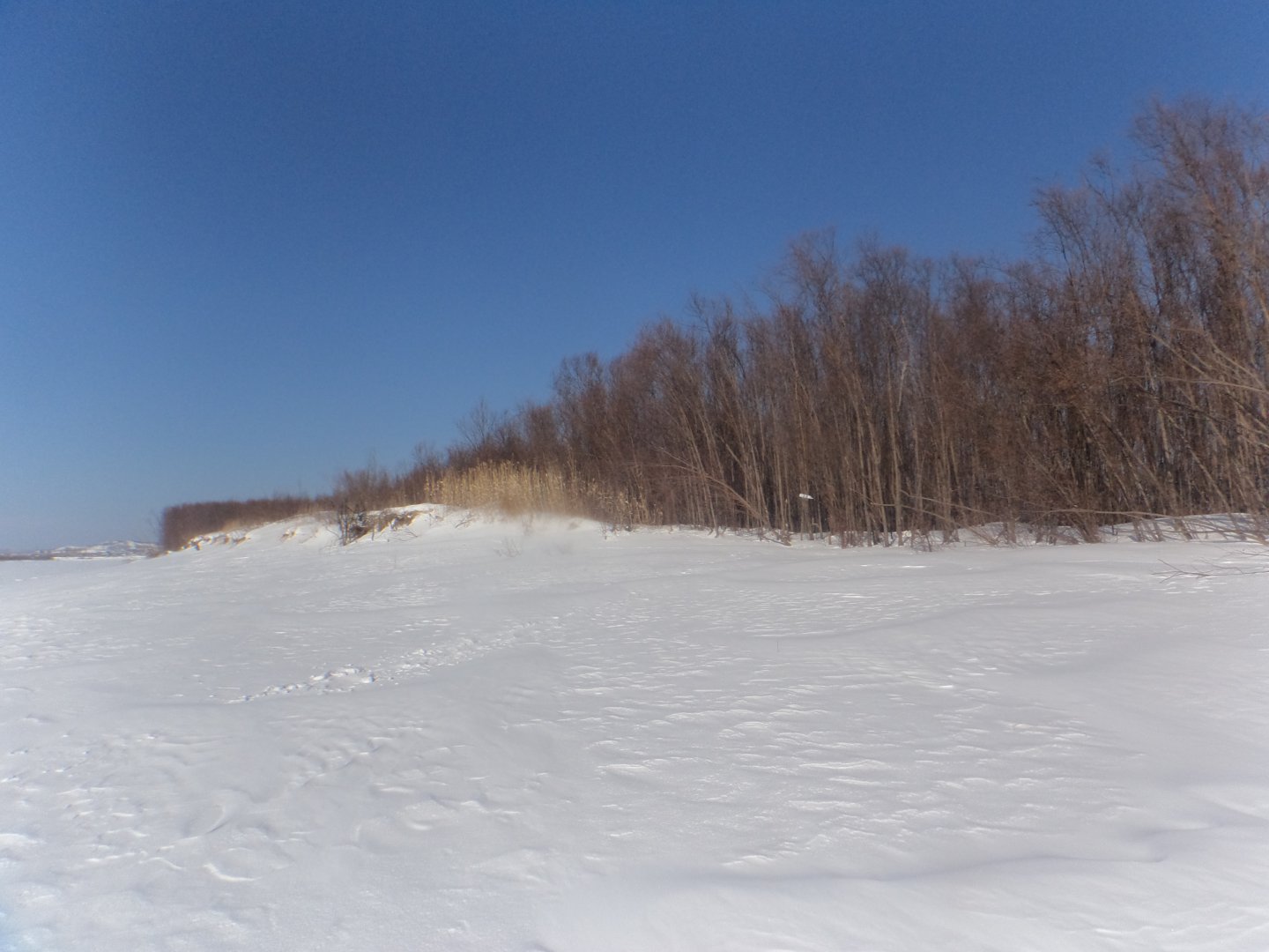DSC08939.JPG