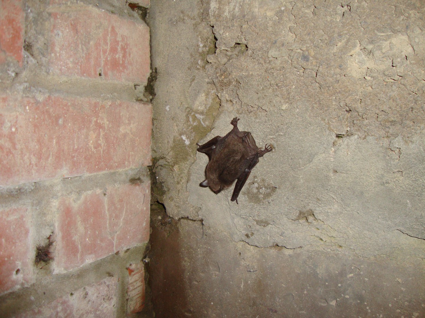 DSC08947.JPG