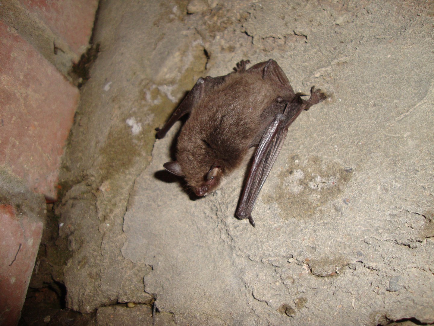 DSC08948.JPG