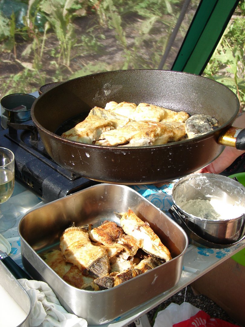 DSC08963.jpg