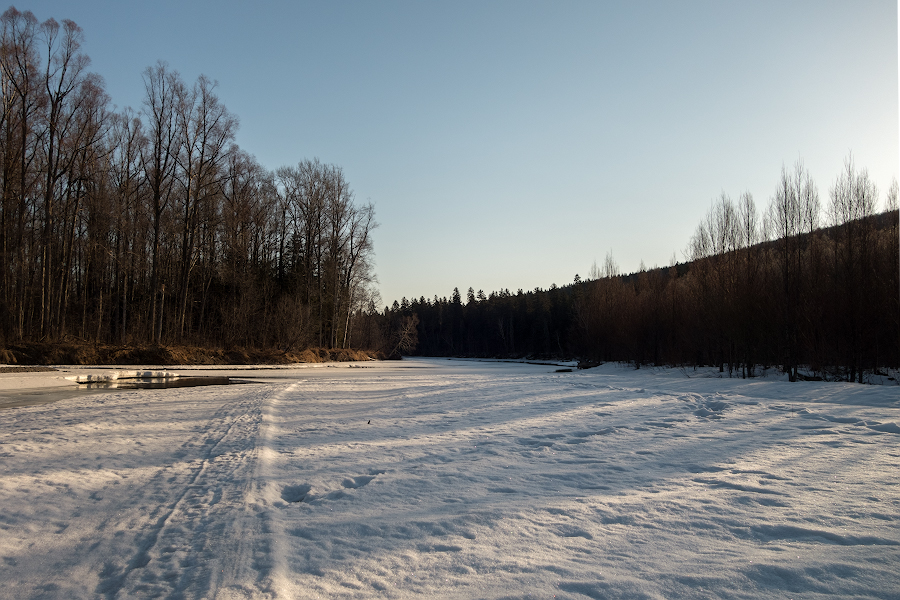 DSC08968.jpg