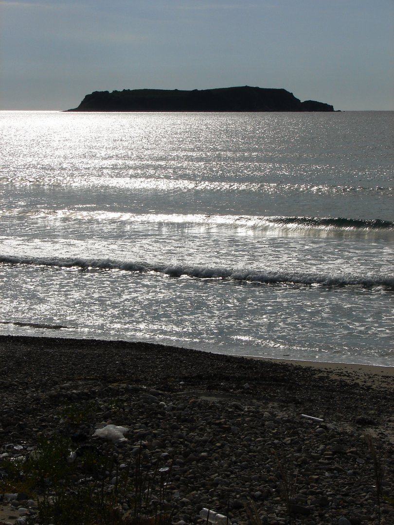 DSC08993.jpg