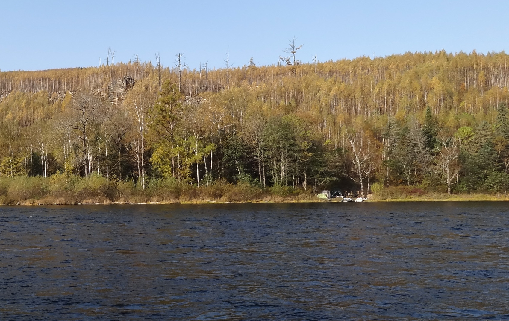 DSC09014-1.jpg