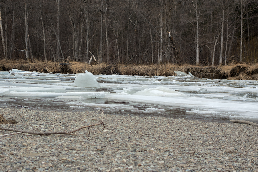 DSC09028.jpg
