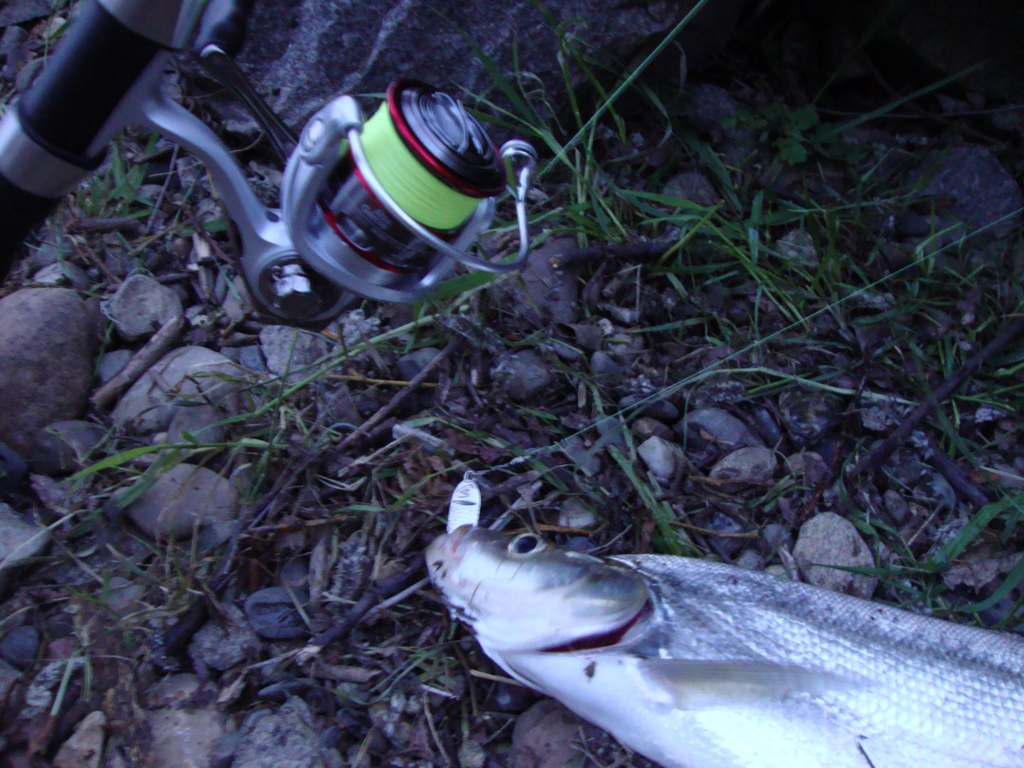DSC09056.JPG
