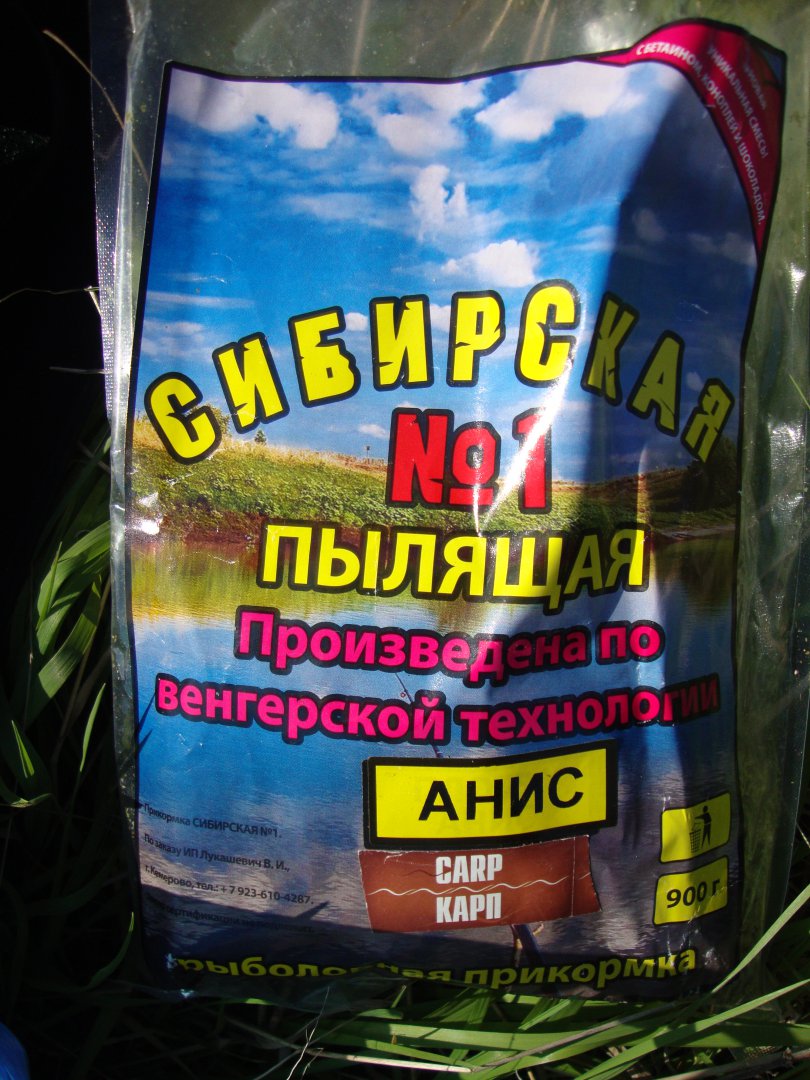 DSC09067.JPG