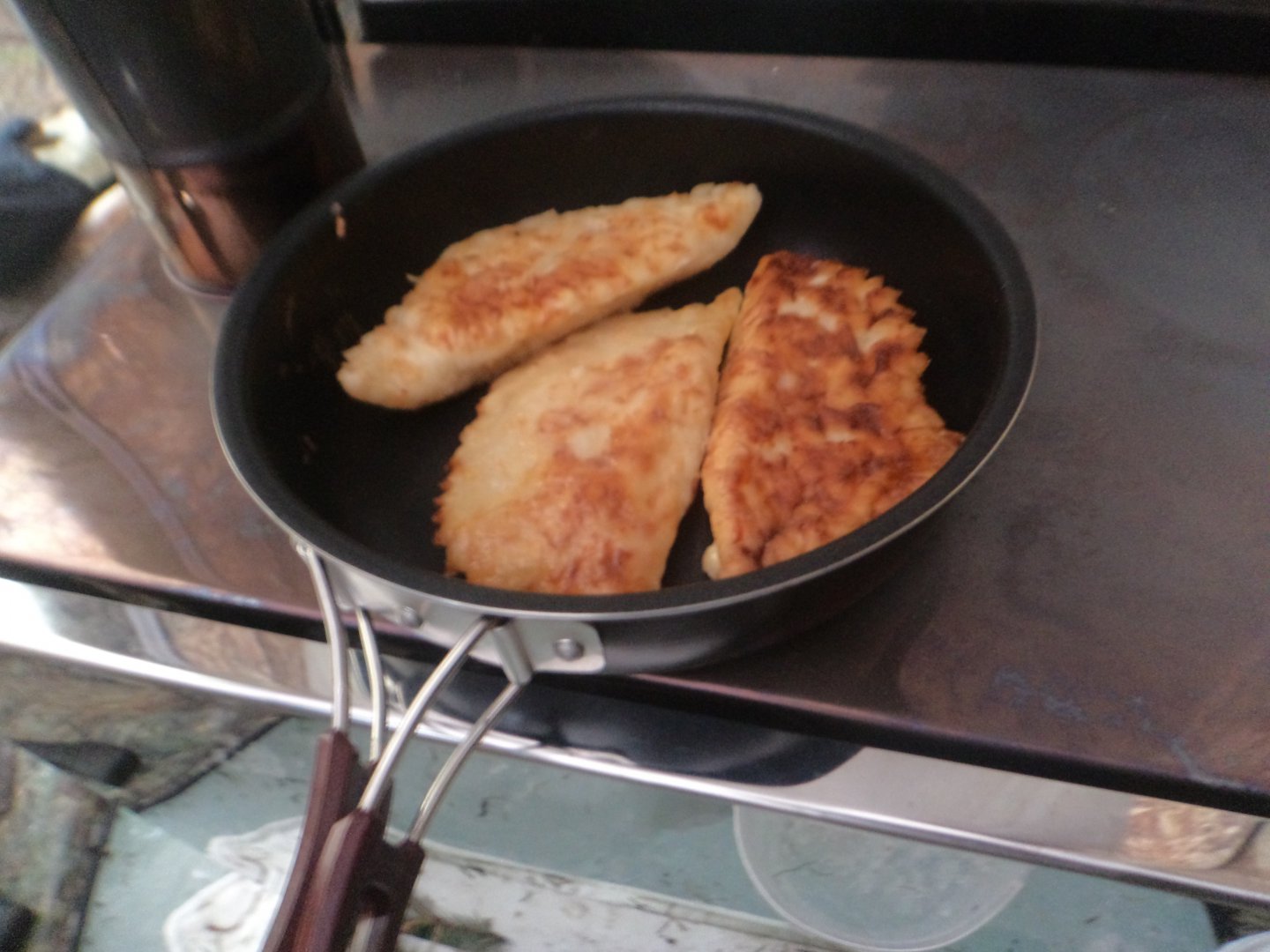 DSC09070.JPG