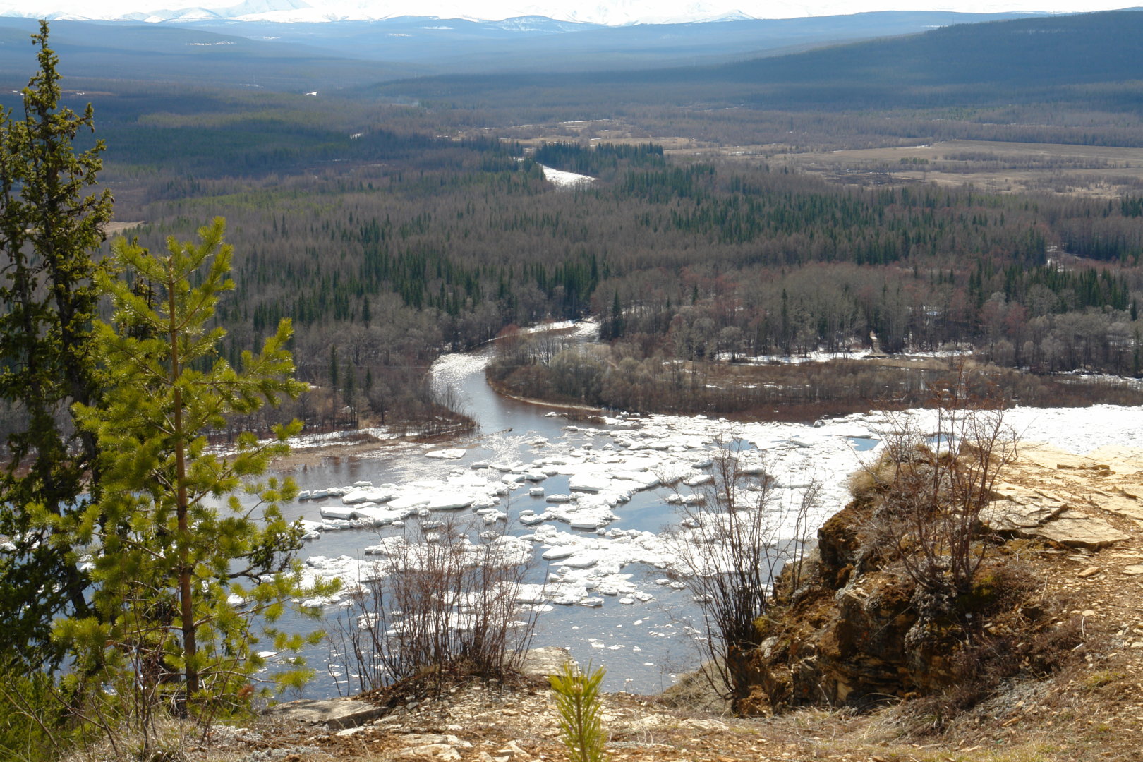DSC09081.JPG
