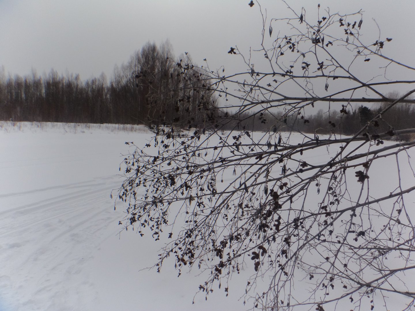 DSC09109.JPG
