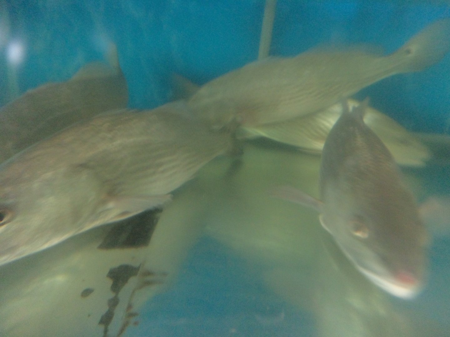 DSC09128.JPG