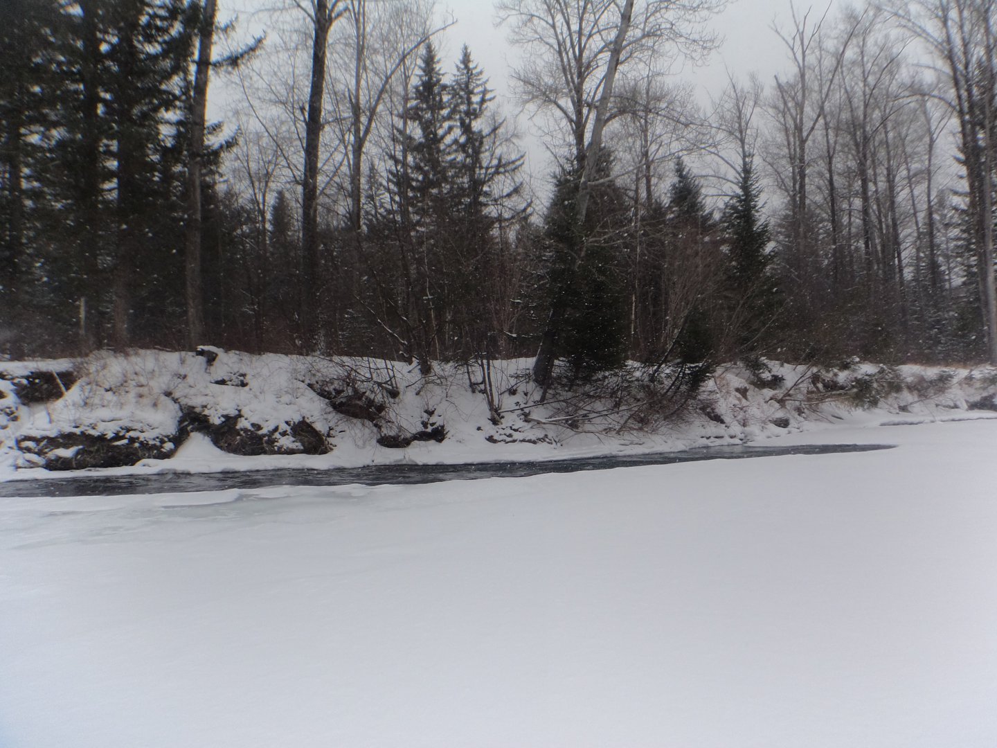DSC09164.JPG