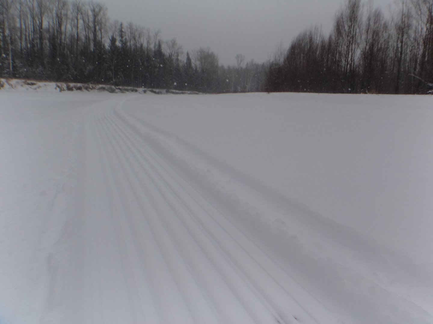 DSC09166.JPG
