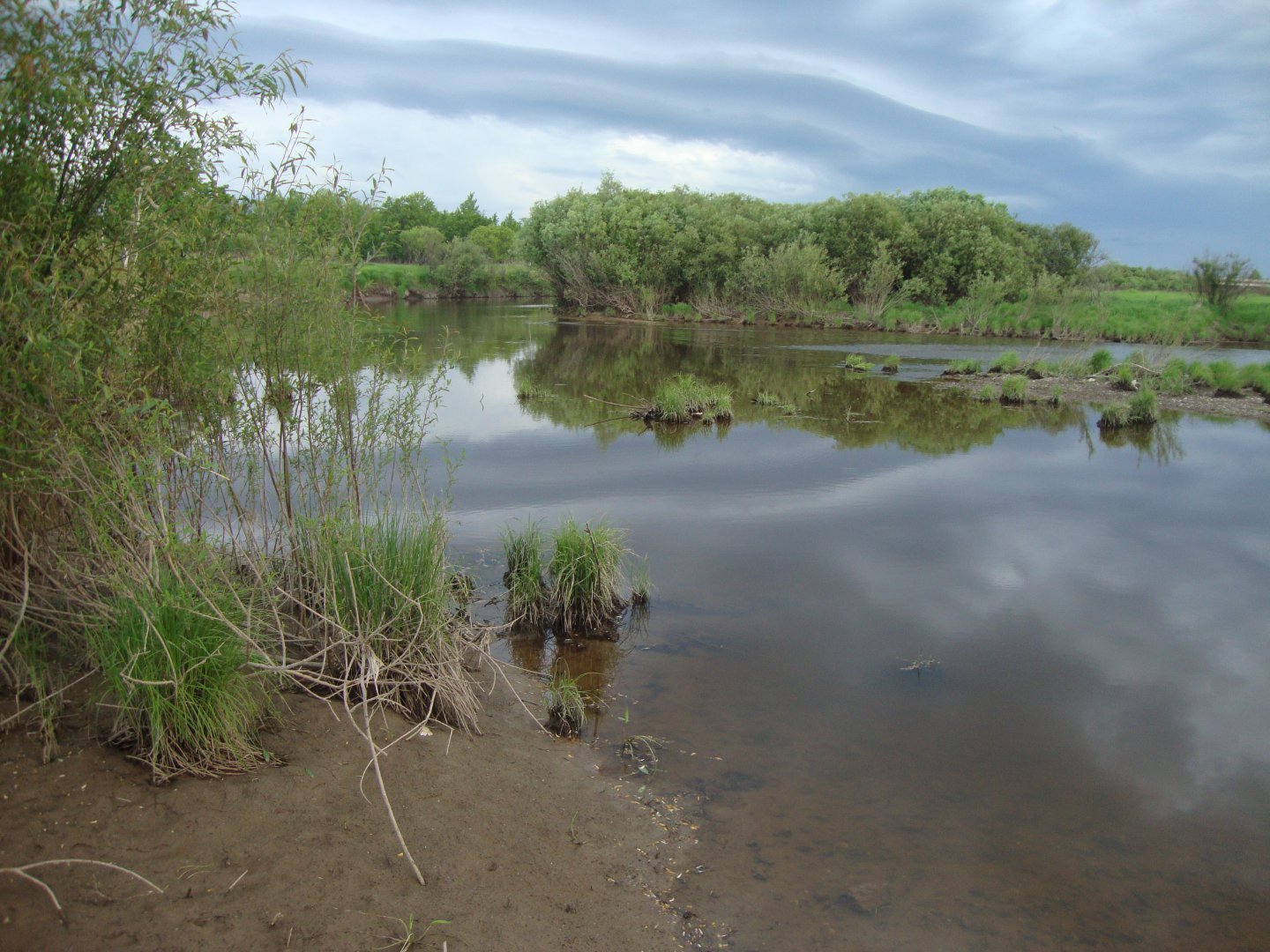 DSC09177.JPG