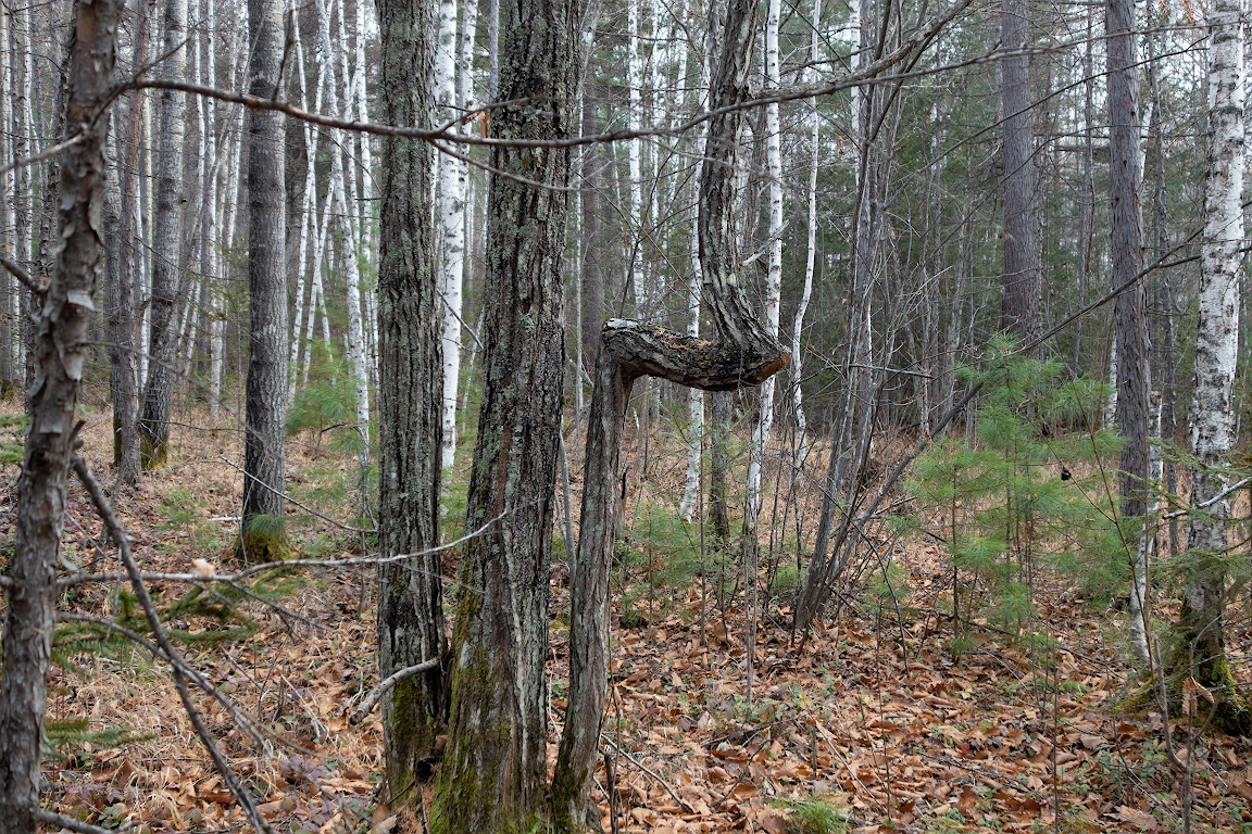 DSC09190.jpg