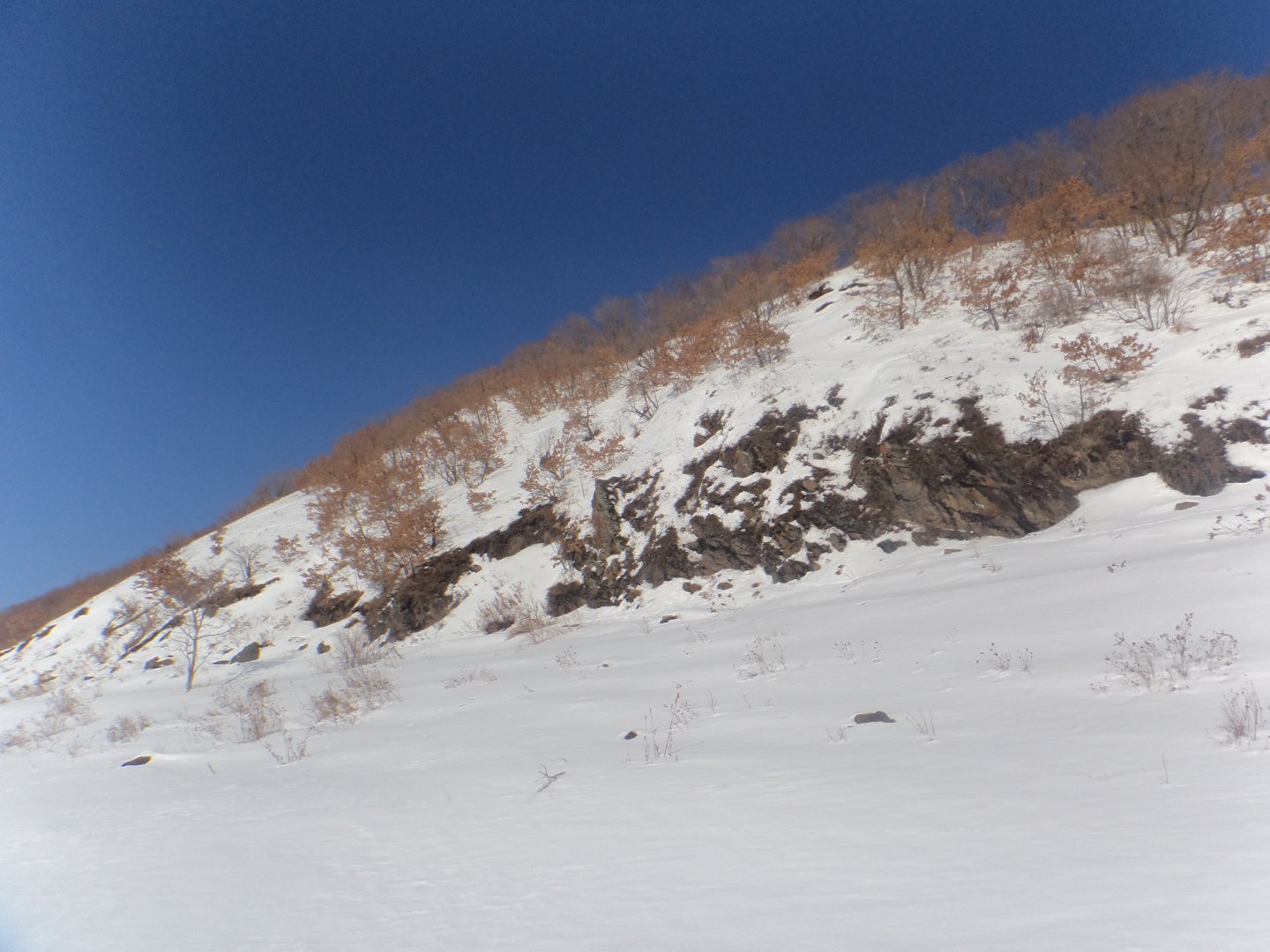 DSC09217.JPG