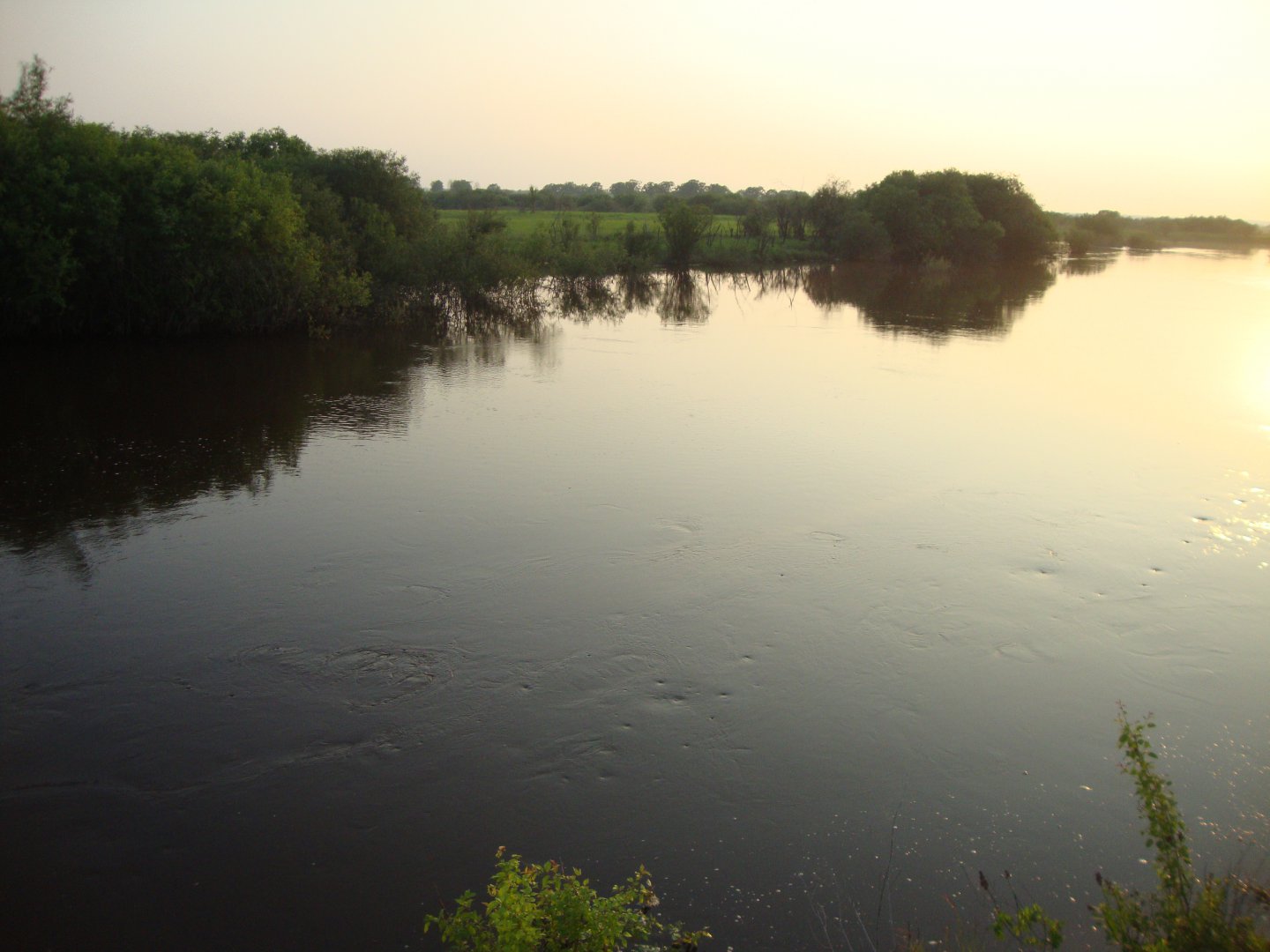 DSC09222.JPG